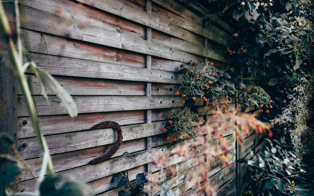 Best Fence Paint – 7 of the Best for Year-Round Protection