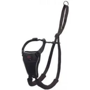 The Company of Animals Halti No Pull Dog Harness