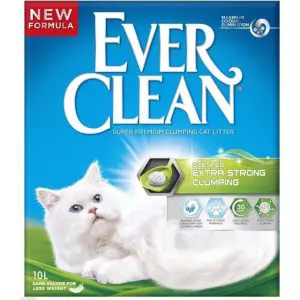 Ever Clean Extra Strong Scented 10L