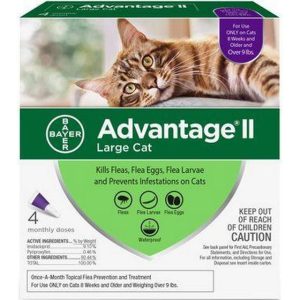 Bayer Advantage II Flea Control for Large Cats