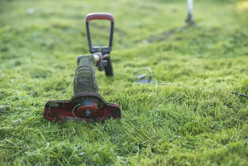 Strimmer Test – Here are the 7 Best Strimmer